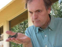 back of hummingbird on Clay’s hand - August 2009