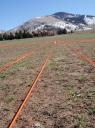 2011-April - Initial plot set up