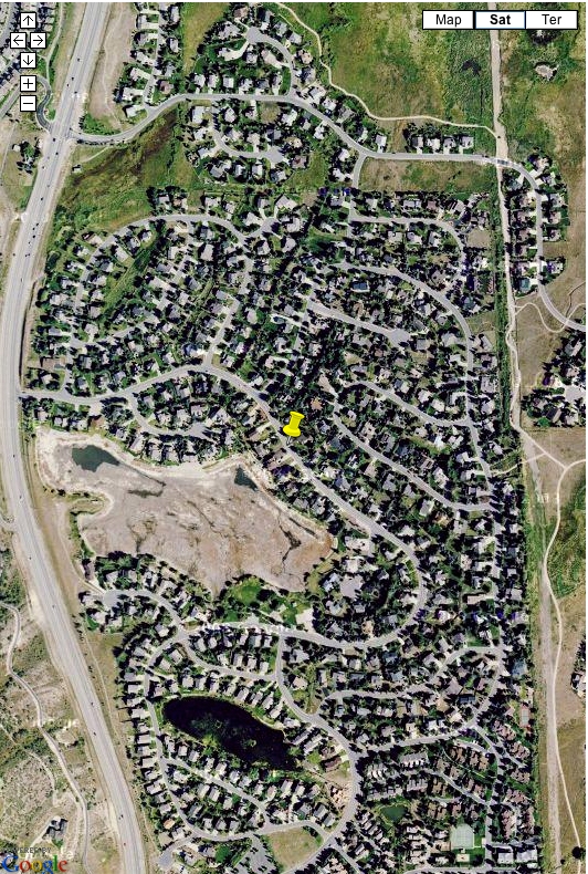 Silver Springs Lake was drained to remove the goldfish