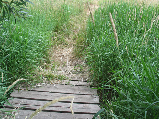 2008 Bridge over drainage ditch on Parcel T between NS Lots 45 and 46