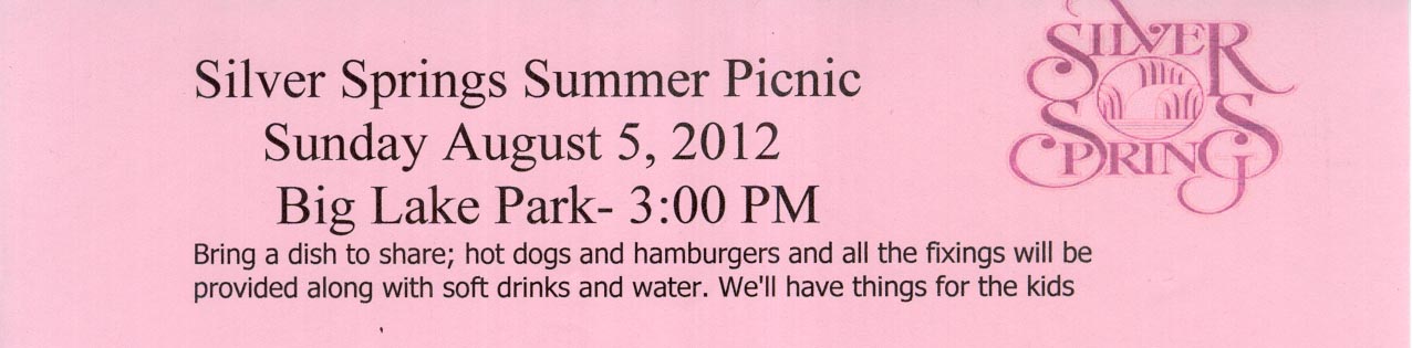 2012-08-05 SSSFHOA Annual Picnic
