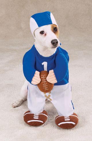 Football anyone?