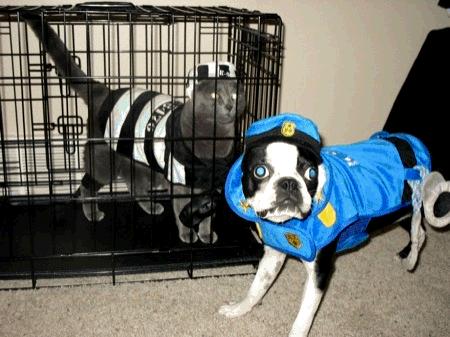 Cops and Robbers