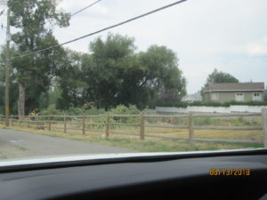 2018 - David & Maud Snyder cottonwoods cut down by Dominion Energy