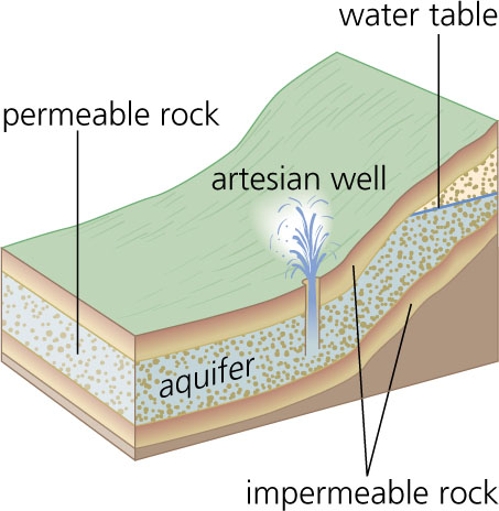 artesian spring sketch