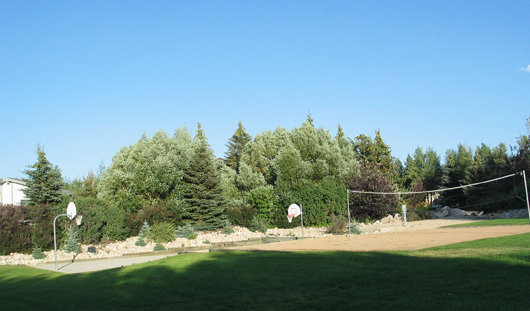 Silver Springs Community Park - basketball & volleyball - 2008