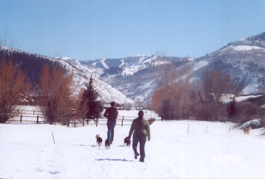 Bostons on the Snow - Open Space Hiking -3-2008