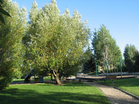 Silver Springs Community Park - center - 2008