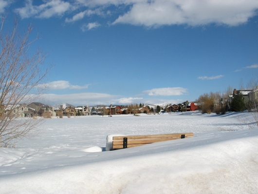 South Shore - Ross Lloyd Park - bench March 2008