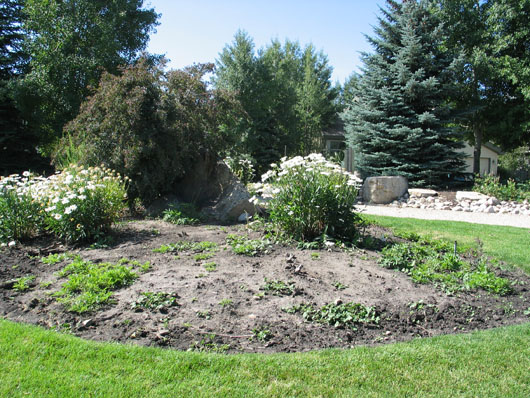 Central flowerbed is a weedbed