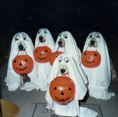 Boo! Trick or Treat