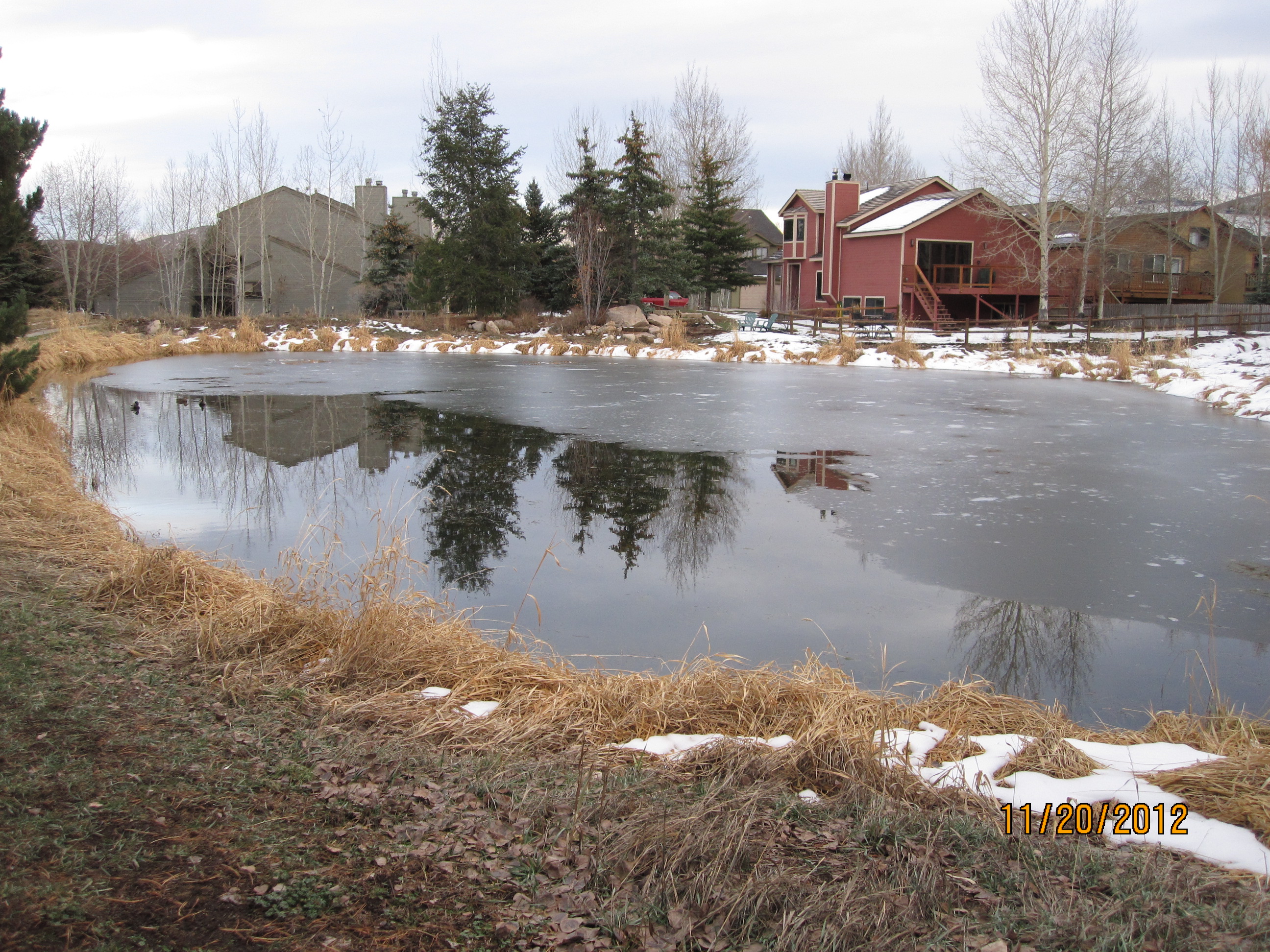 Silver Minnow Pond in late fall