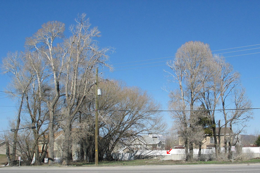 Maud Lincoln Snyder homesite from late 1913-1986 on Hwy 224