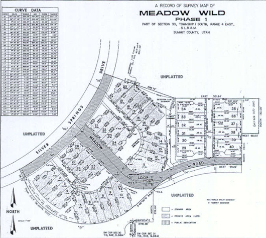 Meadow Wild - Phase 1 Survey Map - Indicates Meadow Springs as a part of Meadow Wild 1980 plat