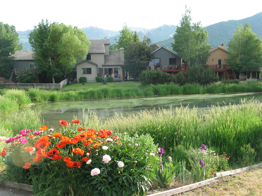 Meadow Springs - Minnow Pond 2008