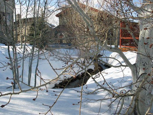 Stream in winter 3-2008