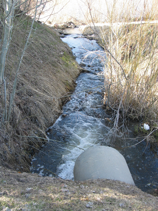 Parcel P looking from culvert and Silver Springs Road toward lake on north- 2008