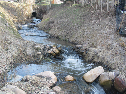 Parcel P looking south to culvert and Silver Springs Road - 2008