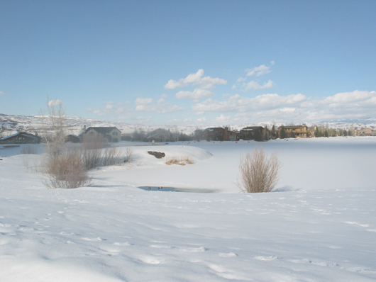 Parcel R - crescent on west of lake - Winter 2007