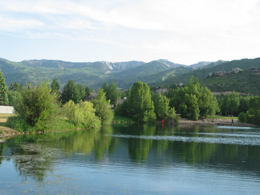 South beach of Silver Willow Lake - trees muffle noise and create privacy