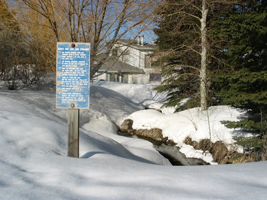 Southeast spring into Silver Springs Lake - March 2008