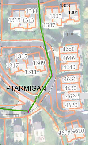 Ptarmigan - aerial