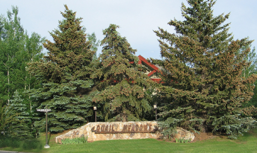 Quail Meadows Condominiums - entry sign 2000