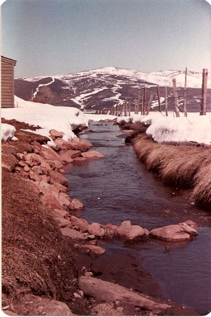 Stream between Silver Springs and Willow Creek in Spring of 1984